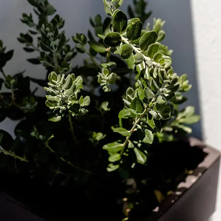 Appartement Lackos Luxury *